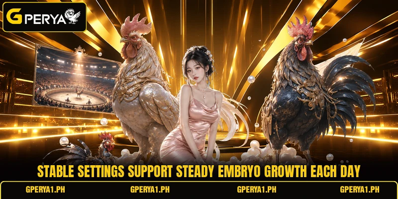 Stable settings support steady embryo growth each day
